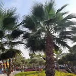 20 Min Cairo-Airport Newcairo Villa Apt Basement2